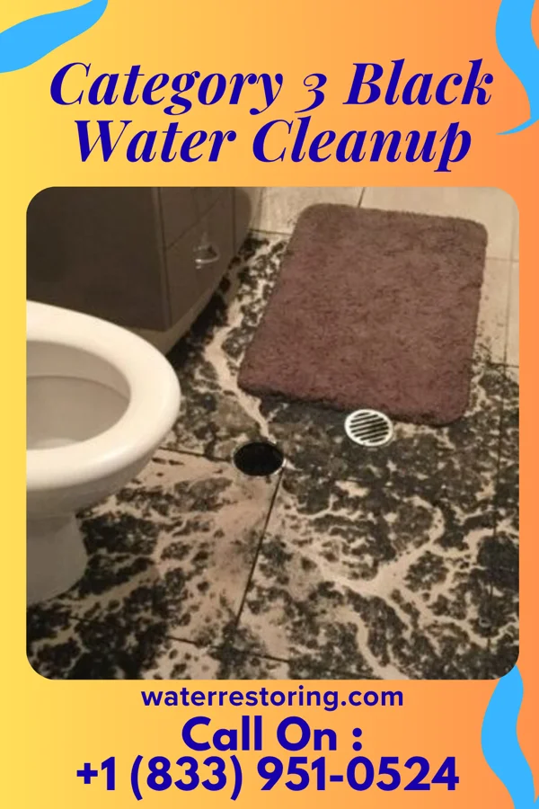Category 3 Black Water Cleanup in Yatesville, PA