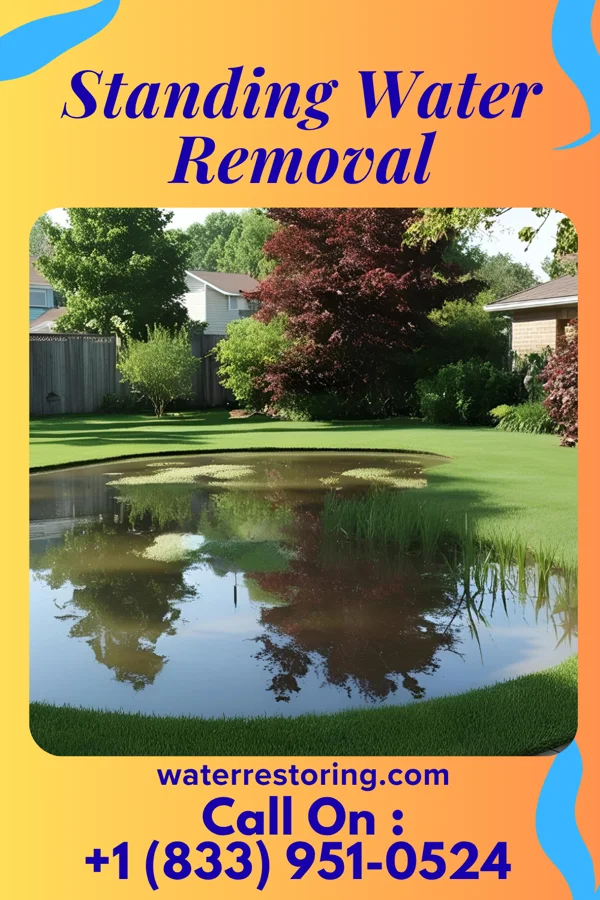 Standing Water Removal in Yatesville, PA